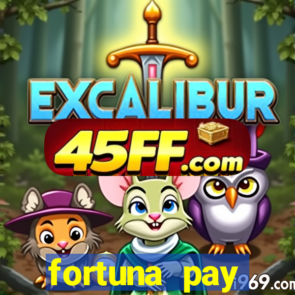 fortuna pay consultoria financeira ltda